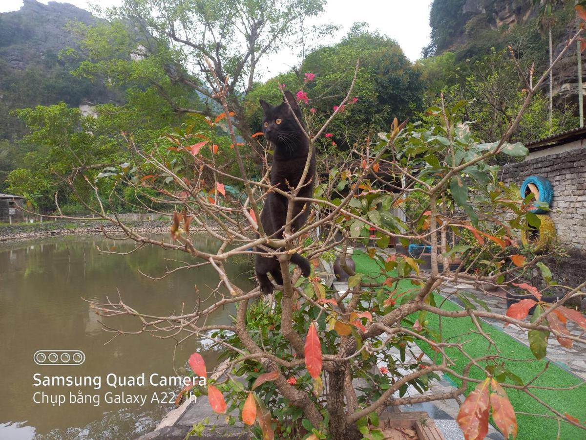 Trang An Pristine View Homestay 닌빈 외부 사진